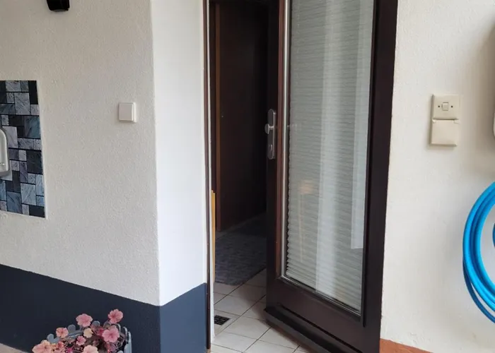 Lang * Bad Bergzabern